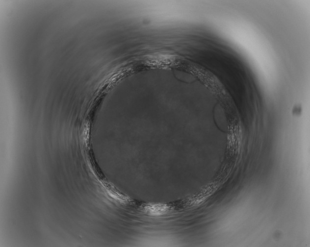X0000096160767200801251127