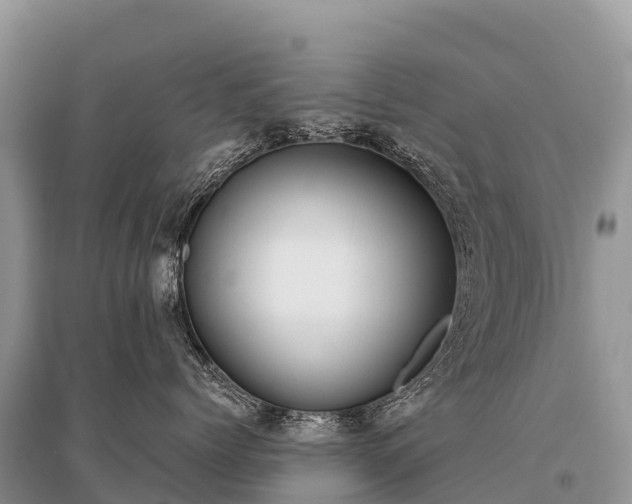 X0000096160768200801251127