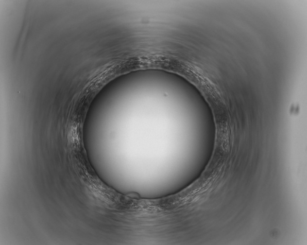 X0000096160770200801251126