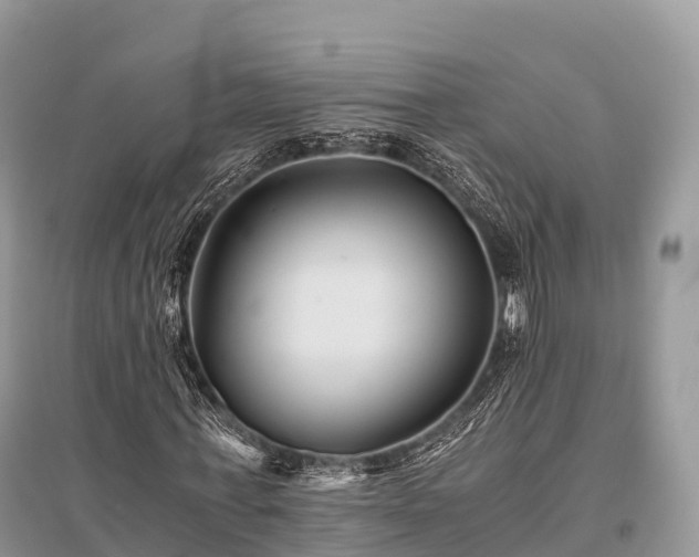 X0000096160771200801251126