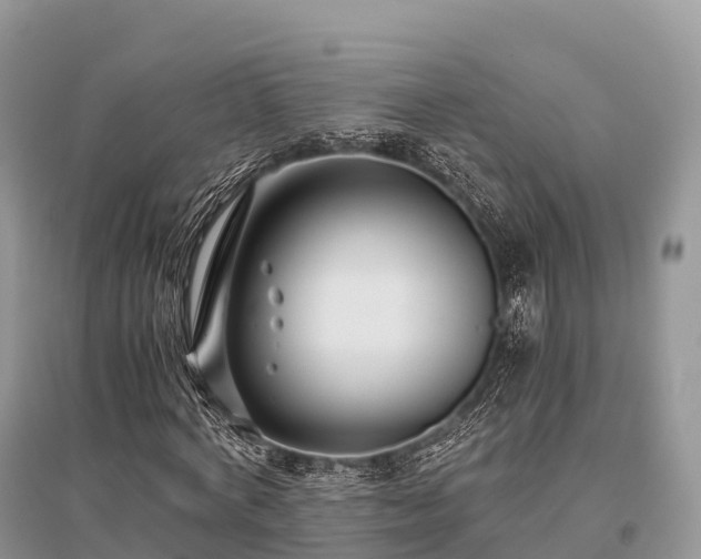 X0000096160772200801251126