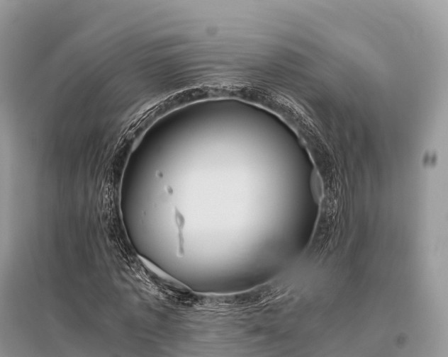 X0000096160773200801251126