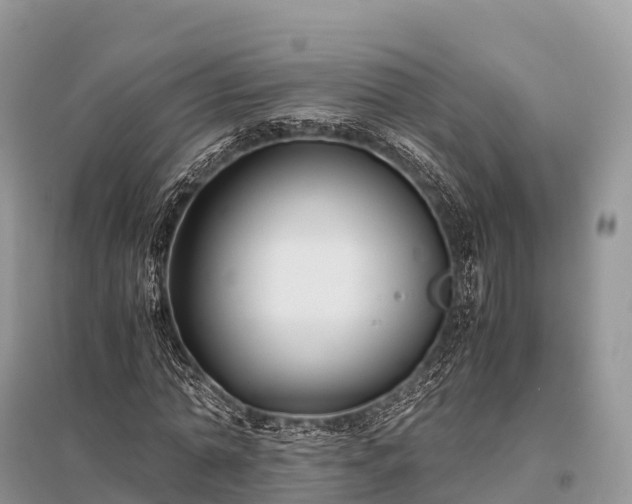 X0000096160774200801251126