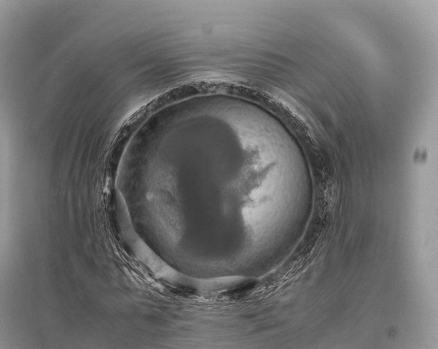 X0000096160775200801251126