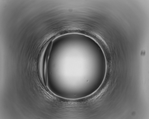 X0000096160777200801251126