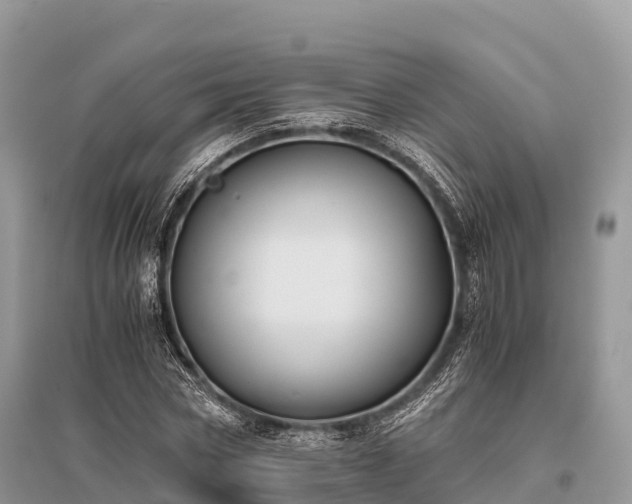X0000096160778200801251126