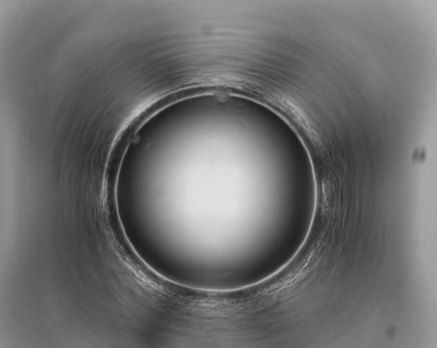 X0000096160780200801251126
