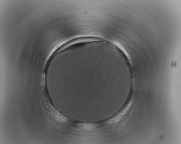 X0000096160781200801251126