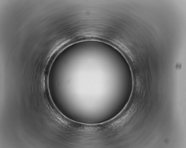 X0000096160782200801251126
