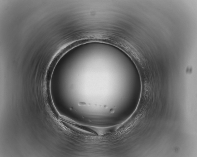 X0000096160784200801251126