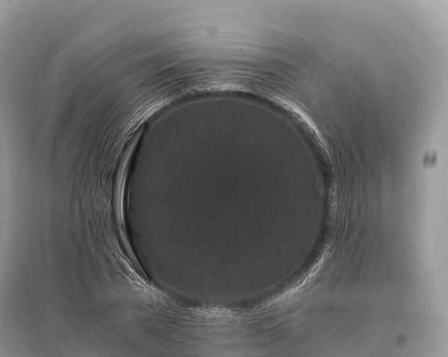X0000096160785200801251126
