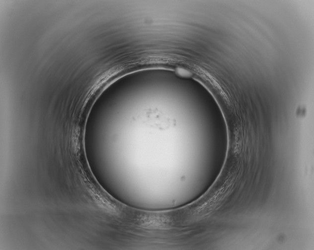 X0000096160786200801251126