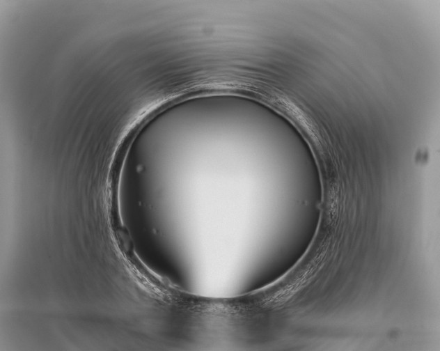 X0000096160787200801251126