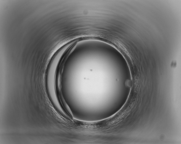 X0000096160789200801251126