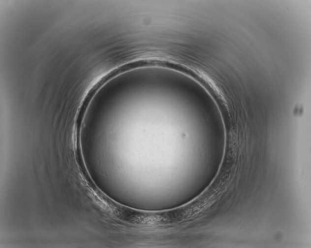 X0000096160791200801251126