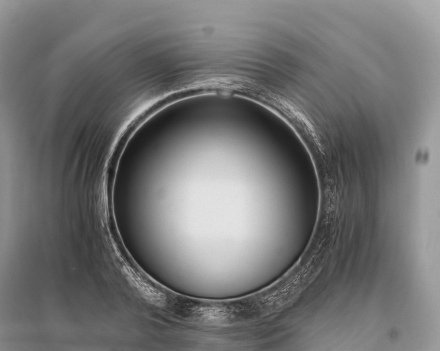 X0000096160792200801251126