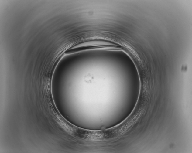 X0000096160793200801251126