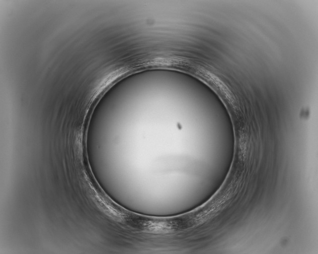 X0000096160794200801251126