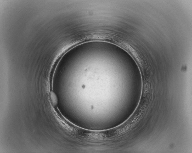 X0000096160795200801251126