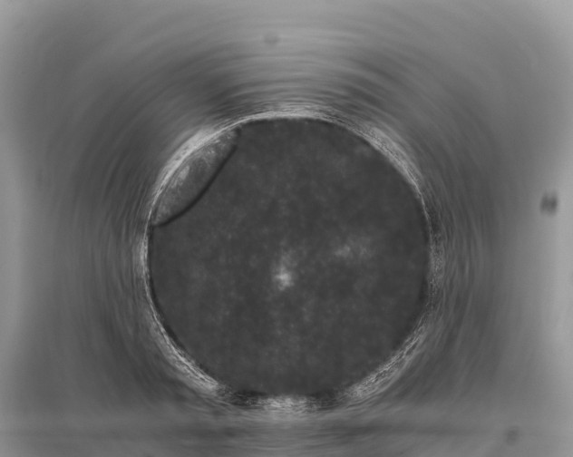 X0000096160797200801251126