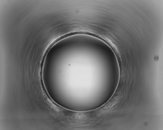X0000096160799200801251126
