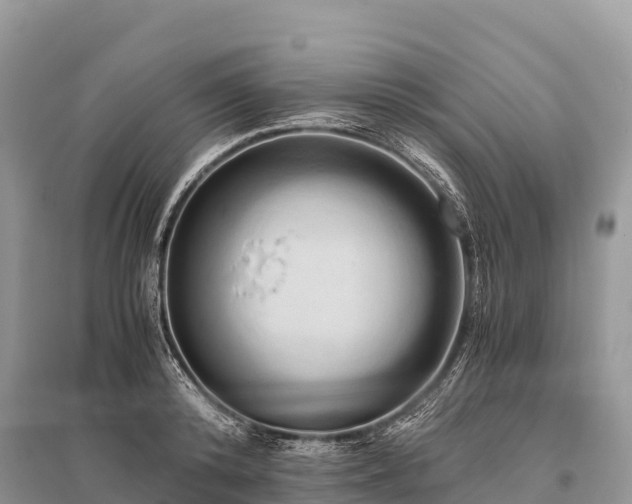 X0000096160800200801251126