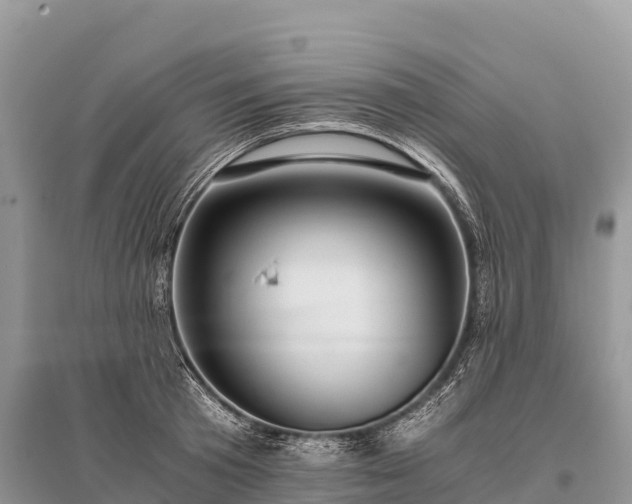 X0000096160801200801251126