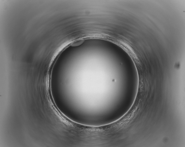 X0000096160804200801251126