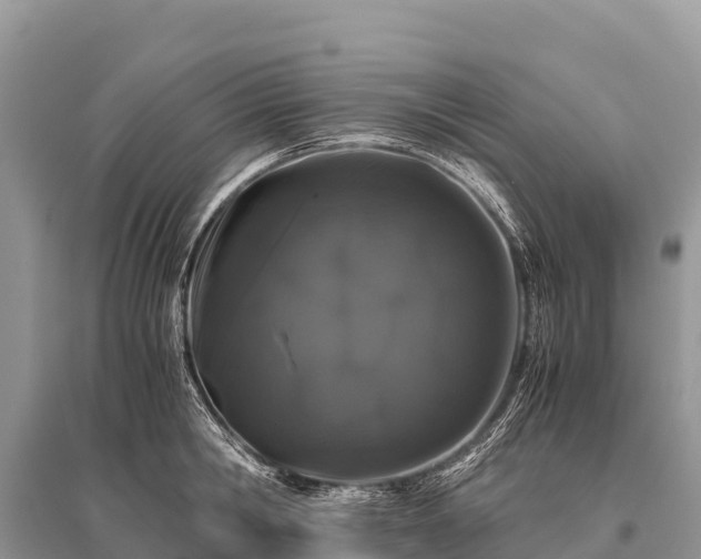 X0000096160806200801251126