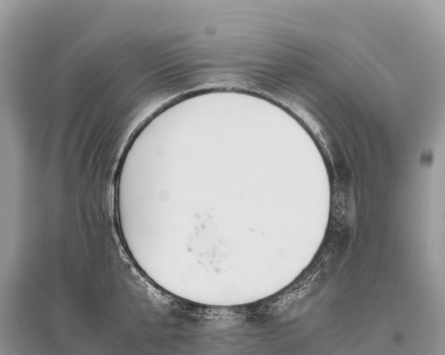 X0000096160807200801251126