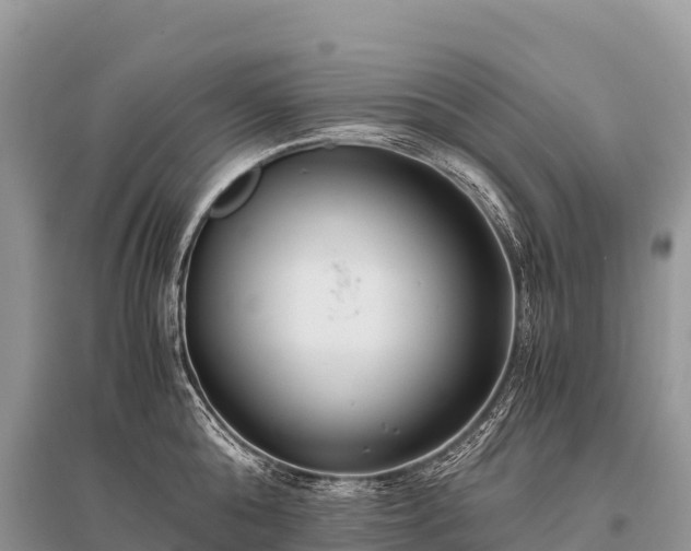 X0000096160808200801251126