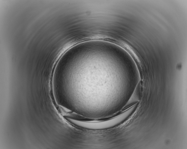 X0000096160810200801251126