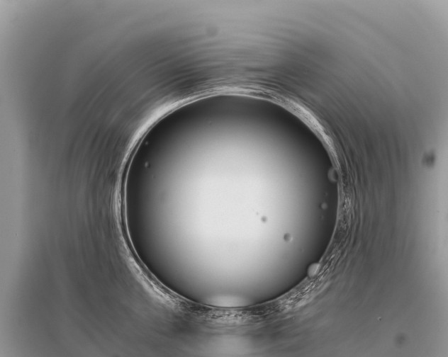 X0000096160811200801251126