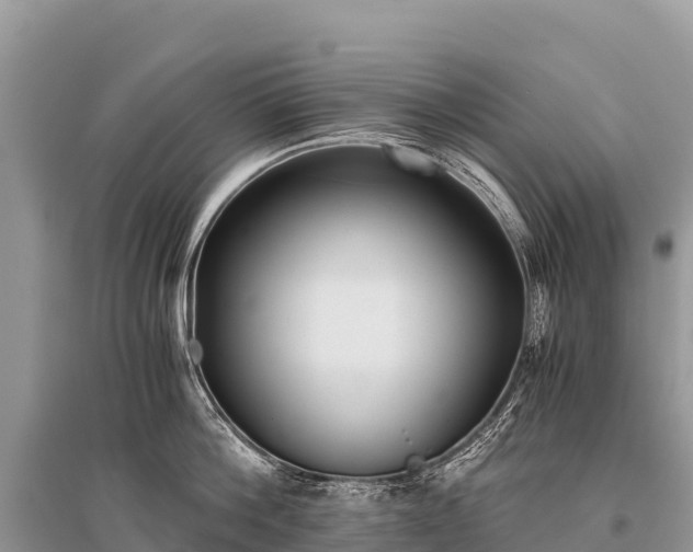 X0000096160812200801251126