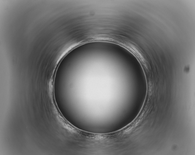 X0000096160814200801251126