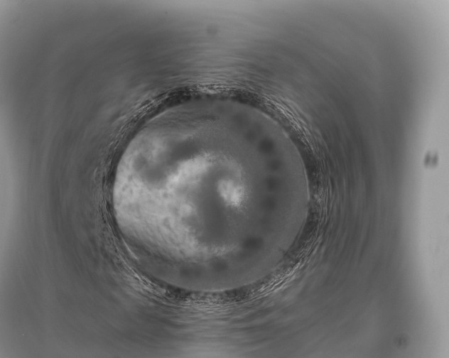 X0000096160817200801251125