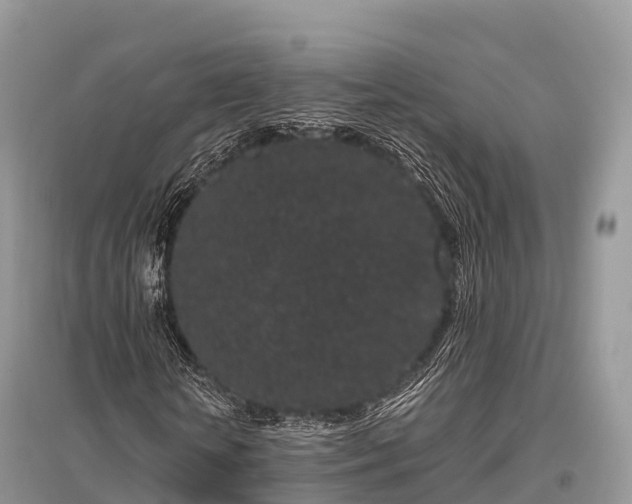 X0000096160818200801251125