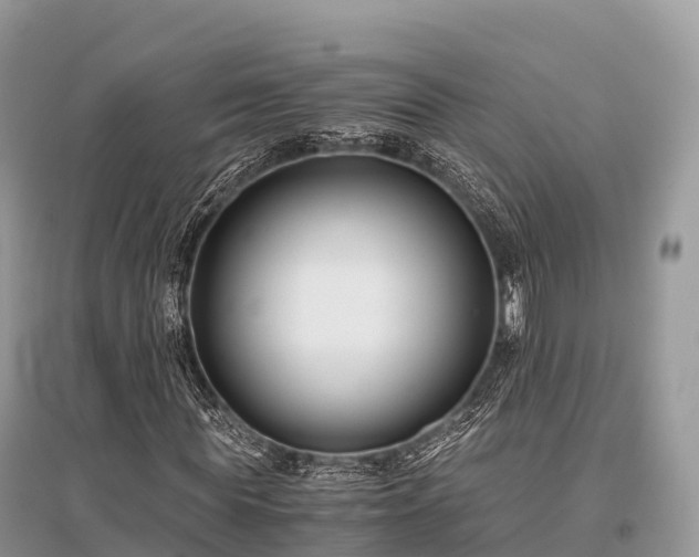 X0000096160819200801251125