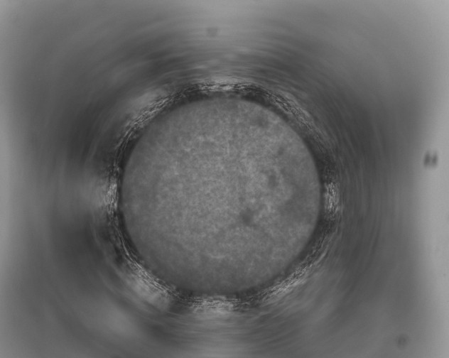 X0000096160820200801251125
