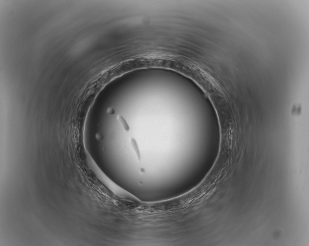 X0000096160821200801251125