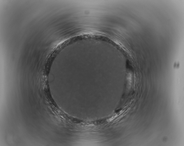 X0000096160822200801251125