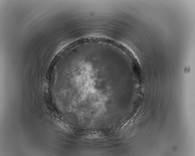 X0000096160823200801251125