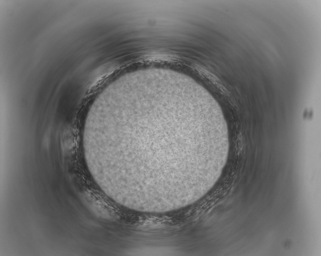 X0000096160824200801251125