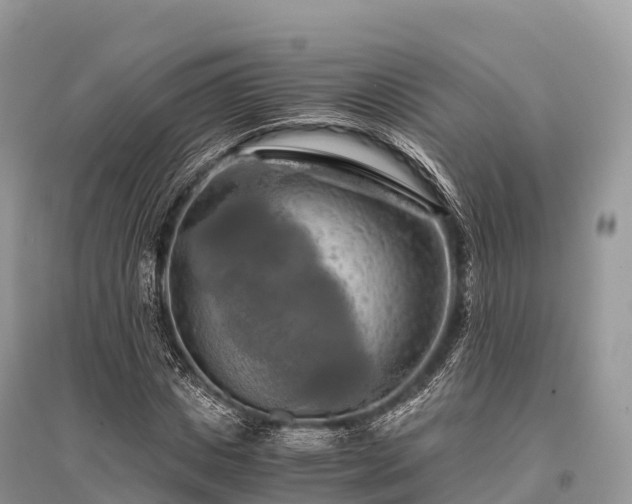 X0000096160825200801251125