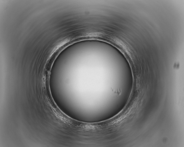 X0000096160827200801251125