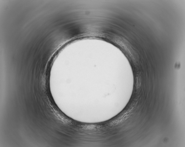 X0000096160828200801251125