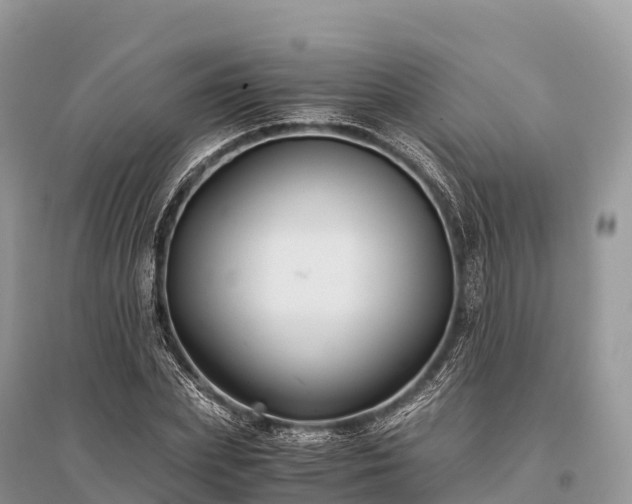 X0000096160831200801251125