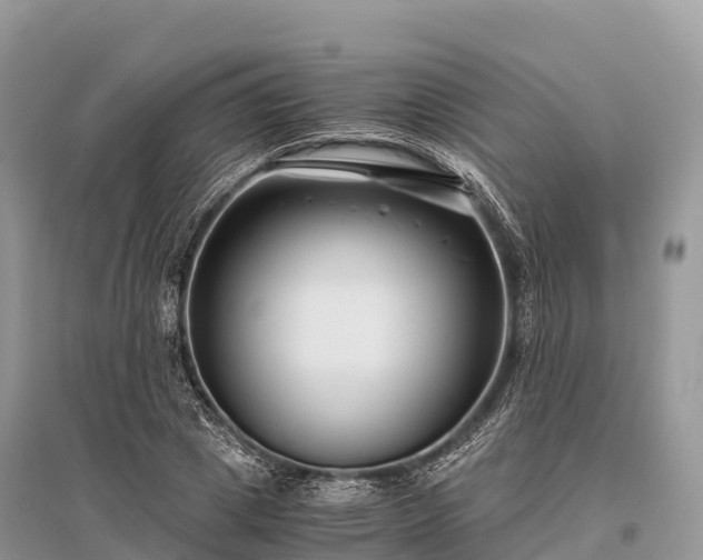X0000096160833200801251125