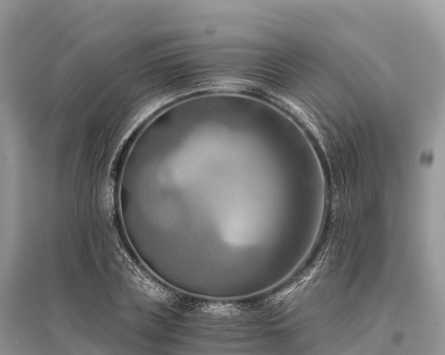 X0000096160835200801251125
