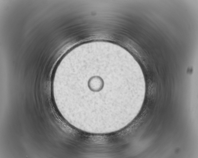 X0000096160836200801251125